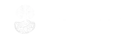 Logo tipo do Alessandro Vianna fundo transparente letras brancas